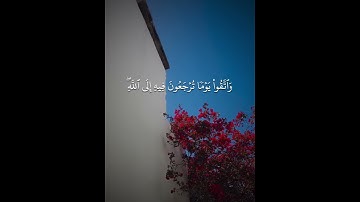 سورة البقرة القارئ: ريان المحيسني