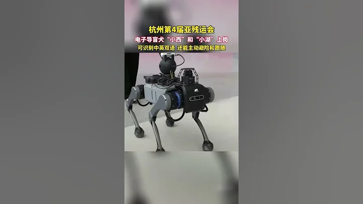 杭州亚残运会电子导盲犬上岗！ - 天天要闻