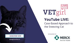 November 28, 2023: YouTube LIVE: CaseBased Approach to the Sneezing Cat