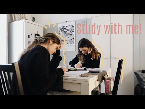 Study With Me - Winter Exam Session | AliLuvi