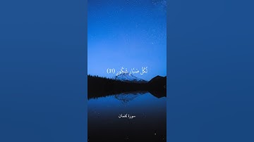 أَلَمْ تَرَ أَنَّ الْفُلْكَ تَجْرِي فِي الْبَحْرِ || سورة لقمان || علي جابر