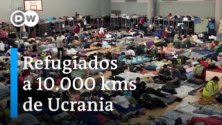 Ucranianos buscan refugio en México