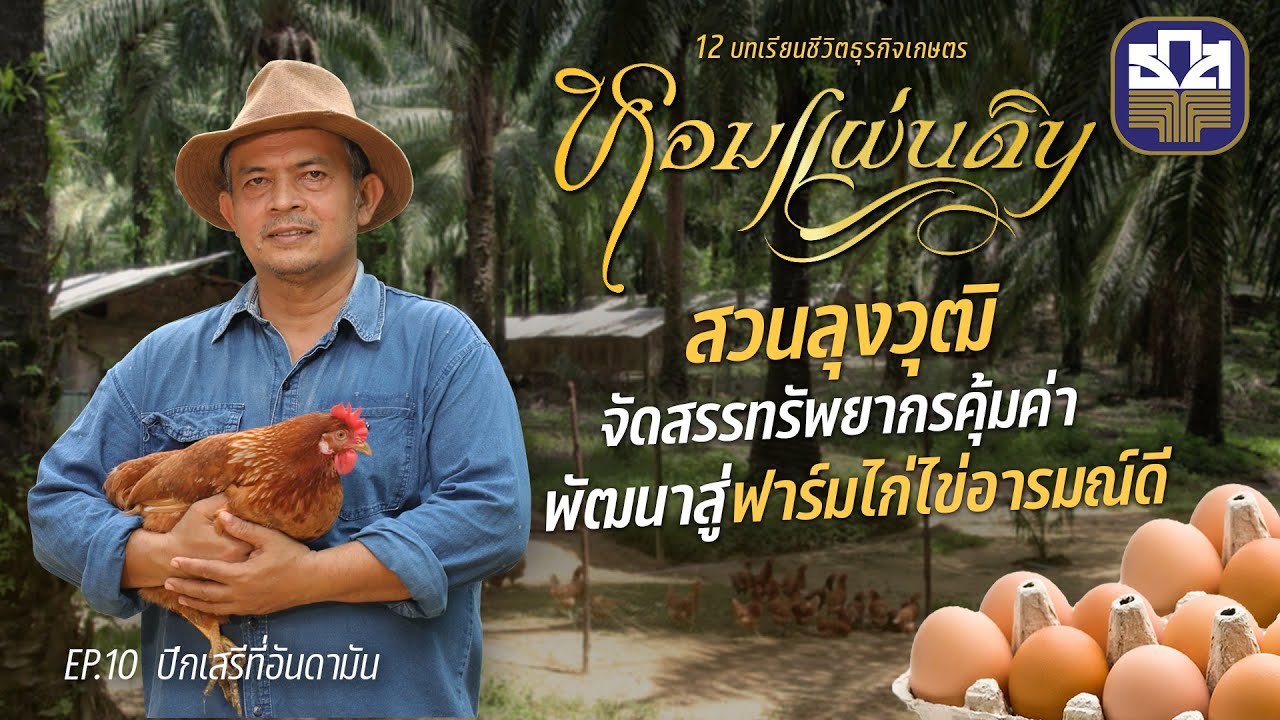 หอมแผ่นดิน ตอน ปีกเสรีที่อันดามัน | ฟาร์มไก่ไข่อารมณ์ดีสวนลุงวุฒิ จัดสรรทรัพยากรอย่างคุ้มค่า จ.พังงา