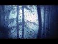 RAIN SOUNDS | Heavy Rainfall White Noise For Deep Sleep | Also Helps You Relax, Focus, Study