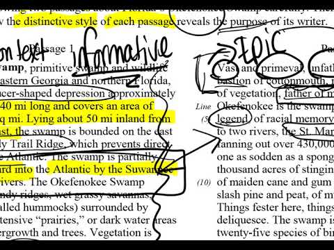 1999 ap psychology essay