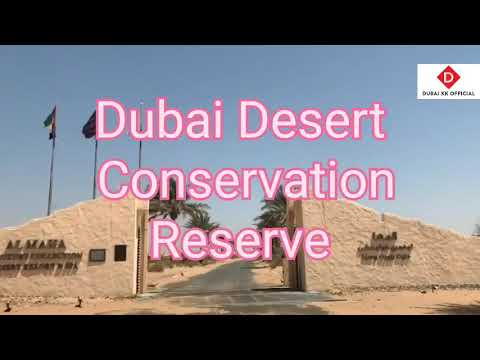 Dubai Desert Conservation Reserve | DUBAIKKOFFICIAL