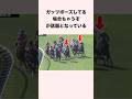 ガッツポーズしてる場合ちゃうぞが話題となっている #競馬 #競馬予想 #shorts