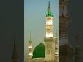 #chorfikrduniyaki New #newnaath #naat #shorts #youtubevideos #ytshorts #trending #trustonallah