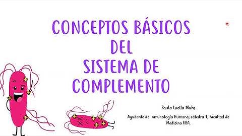 Conceptos básicos del sistema de complemento