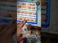 #shorts #reels #TikTok #viral #eggincubator #PoultryBusiness উচ্চ মানের 60 -70 রোলিং ট্রে সরবরাহকারী