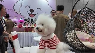 MT-PRODUCTION | AKPPE @ PETFAIR VIETNAM 2025