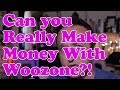 Can you REALLY MAKE MONEY with a Woozone Amazon Affiliate site? BEERSHIRTS UPDATE!
