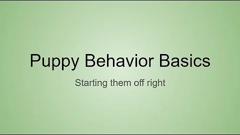 Puppy Behavior Basics, By Dr. Michelle Engel