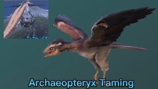 Ark Mobile Taming Archaeopteryx