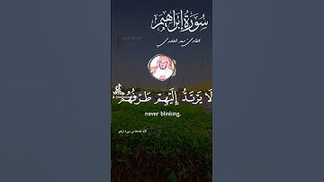 سورة إبراهيم #قران_كريم #مكه #السعودية #مكهالمكرمه #تيك_توك #راحة_نفسية #دويتو #لايك