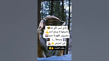 انا بلدي مصر وافتخر 