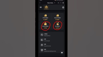 MMMC me dollar dikhane laga   #mmmc #makemimeliniorcoin #safepal_wallet #brijmohan #cryptocurrency