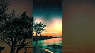 Jannang ri Pangakkali cover: Putri Amelya #lagumakassar #makassarhits #legendary99