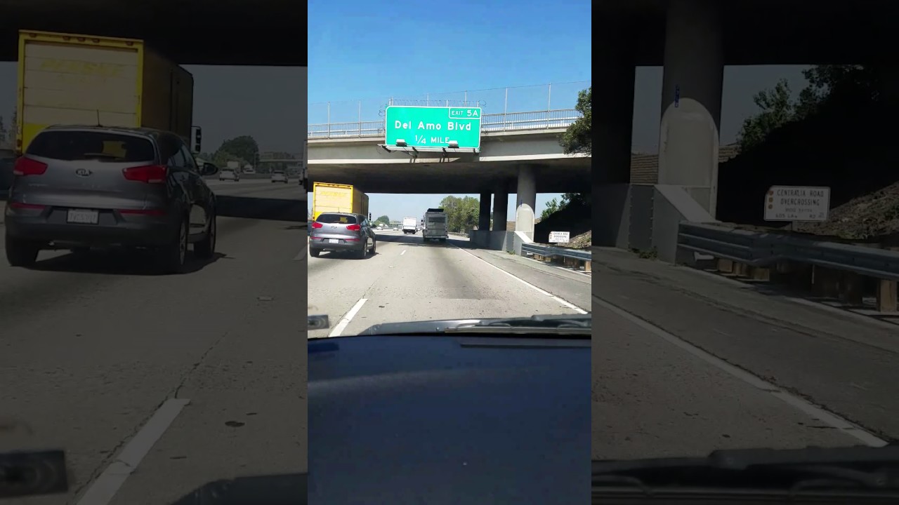 dog tracking car dog tracking car