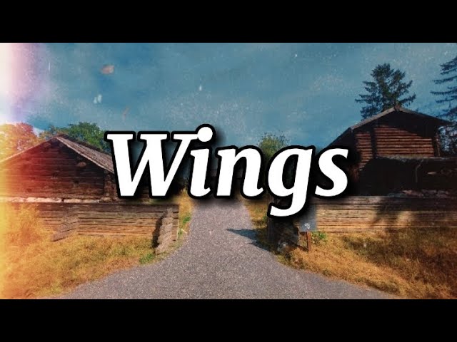 Nico Santos - Wings (lyrics)