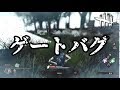 ゲートバグに遭遇するあっさりしょこ【2018_09_26】