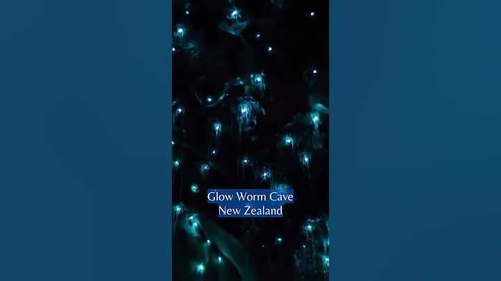 GLOW WORM CAVE, NEW ZEALAND | natureXploration #shorts #nature #newzealand