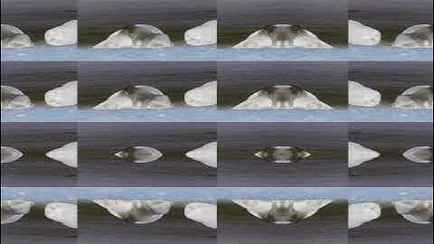 Wildlife in Matrilla Major