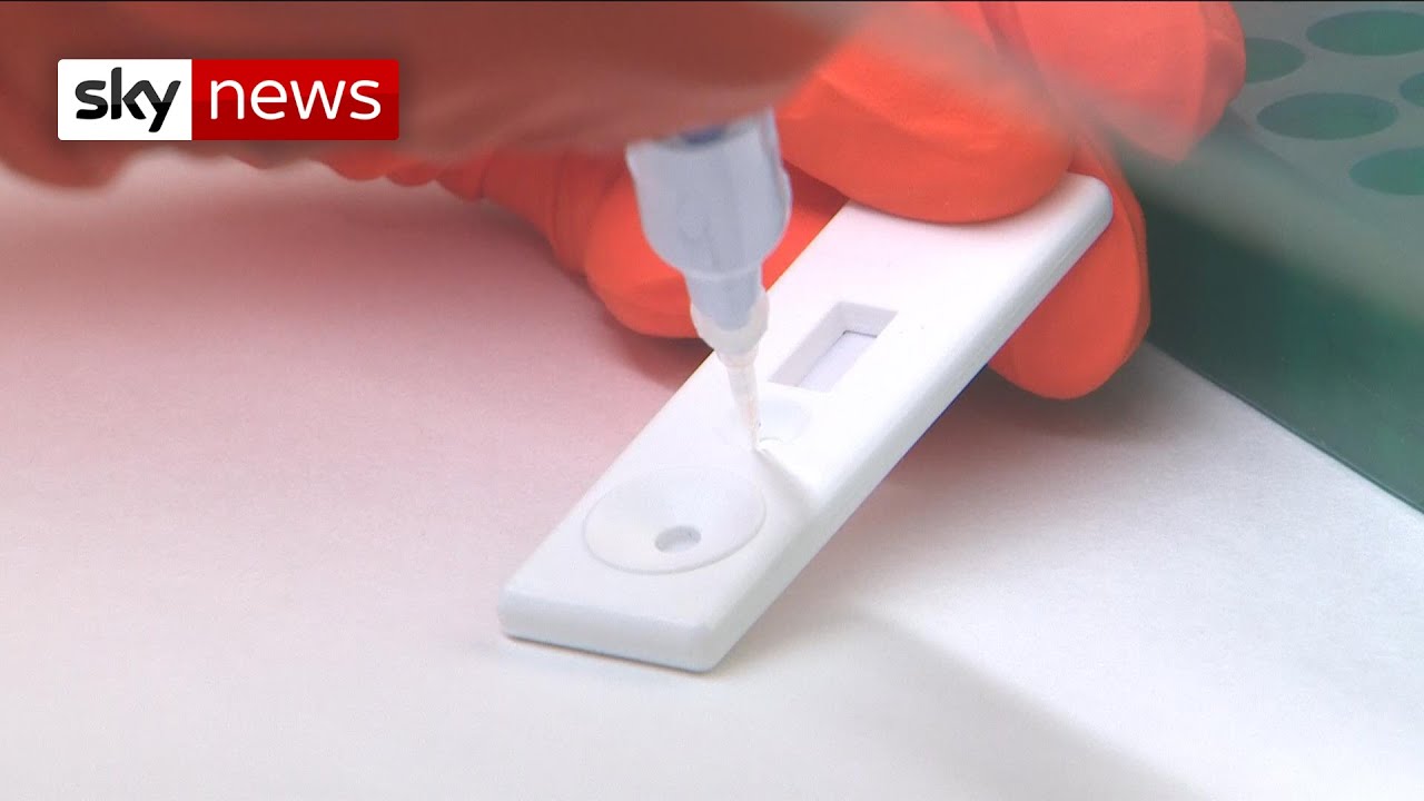Film backdrop image for Antibody test could become vital weapon against coronavirus (2020)