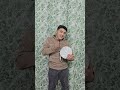 السحلية الراقصة سحلية ترقص العزف على الطبل Lizard Dancing السحلية الراقصة سحلية ترقص العزف على الطبل Lizard Dancing