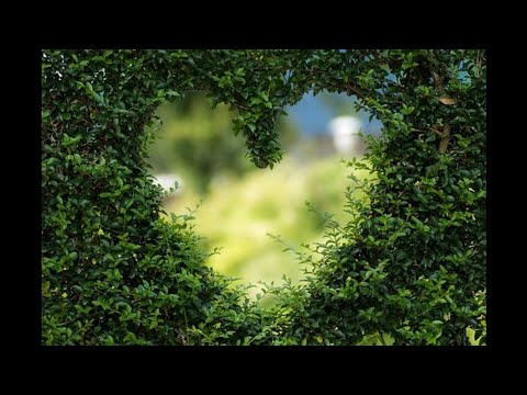 Mike Munger on Love, Money, Profits, and Non-profits 04/19/2010