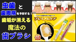 虫歯と歯周病を予防する！歯垢が消える!?魔法の歯ブラシ