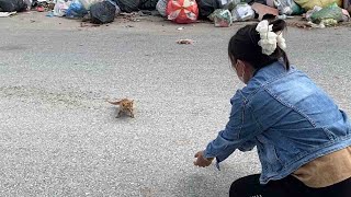 картинка: Он выбрался из свалки, зовя на помощь… пока любовь не нашла его!