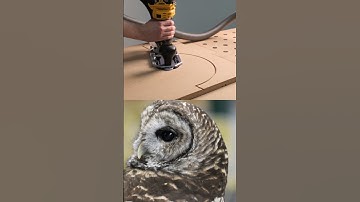 2025 way to cut circles