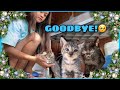 Found A New Family For My Rescue Kittens! | VLOGMAS 2020 Day 15 | Sai Datinguinoo