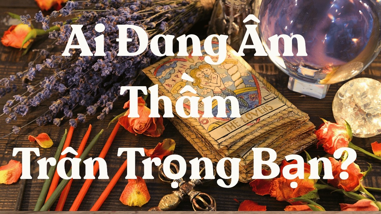 Ai Đang Âm Thầm Trân Trọng Bạn?