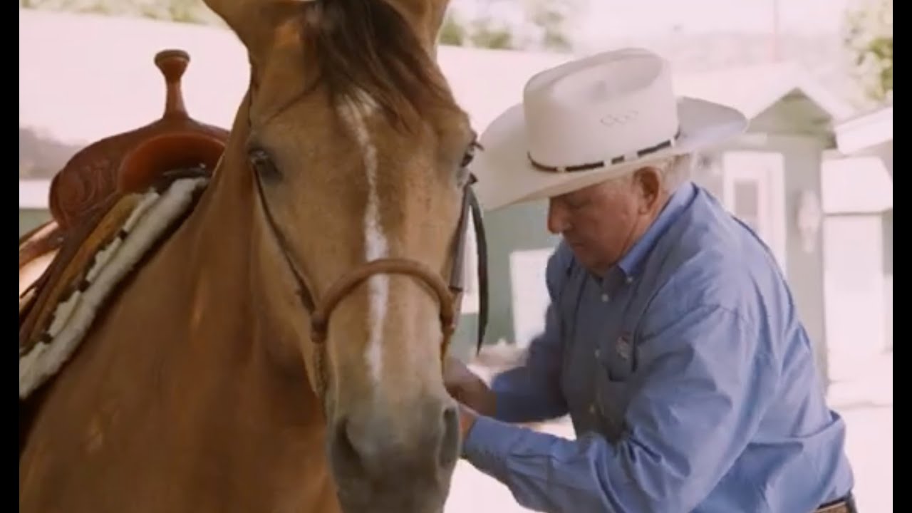 Saddle Up Premiering the Rancho Mission Viejo 2020 Rodeo Movie YouTube