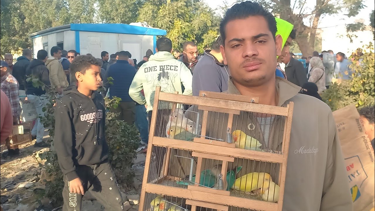 الناس اشترت عصافير ايه وبكام من سوق الجمعة اليوم⁉️واسعار العصافير🦜بأرقام اصحابها من داخل سوق الجمعة💚
