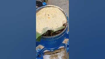 Cattle & Sheep Feed Pellet Machine in Action 🐄🐑 | Efficient Feed Pellet Mill for   exportwoodpellet