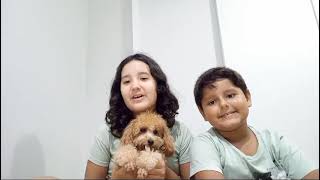 VID 20240211 WA0002
