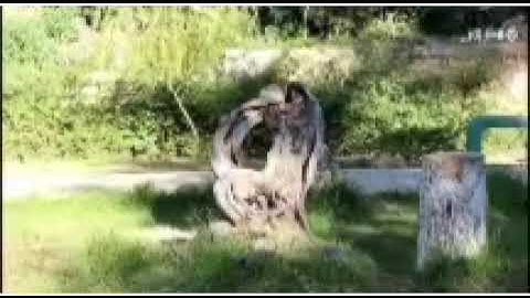 #صوت_العدالة_القرأن#احمد_عطية#القرأن الكريم تلاوة لاحمد عطية سورة النمل