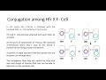 ConjugationsBack - YouTube