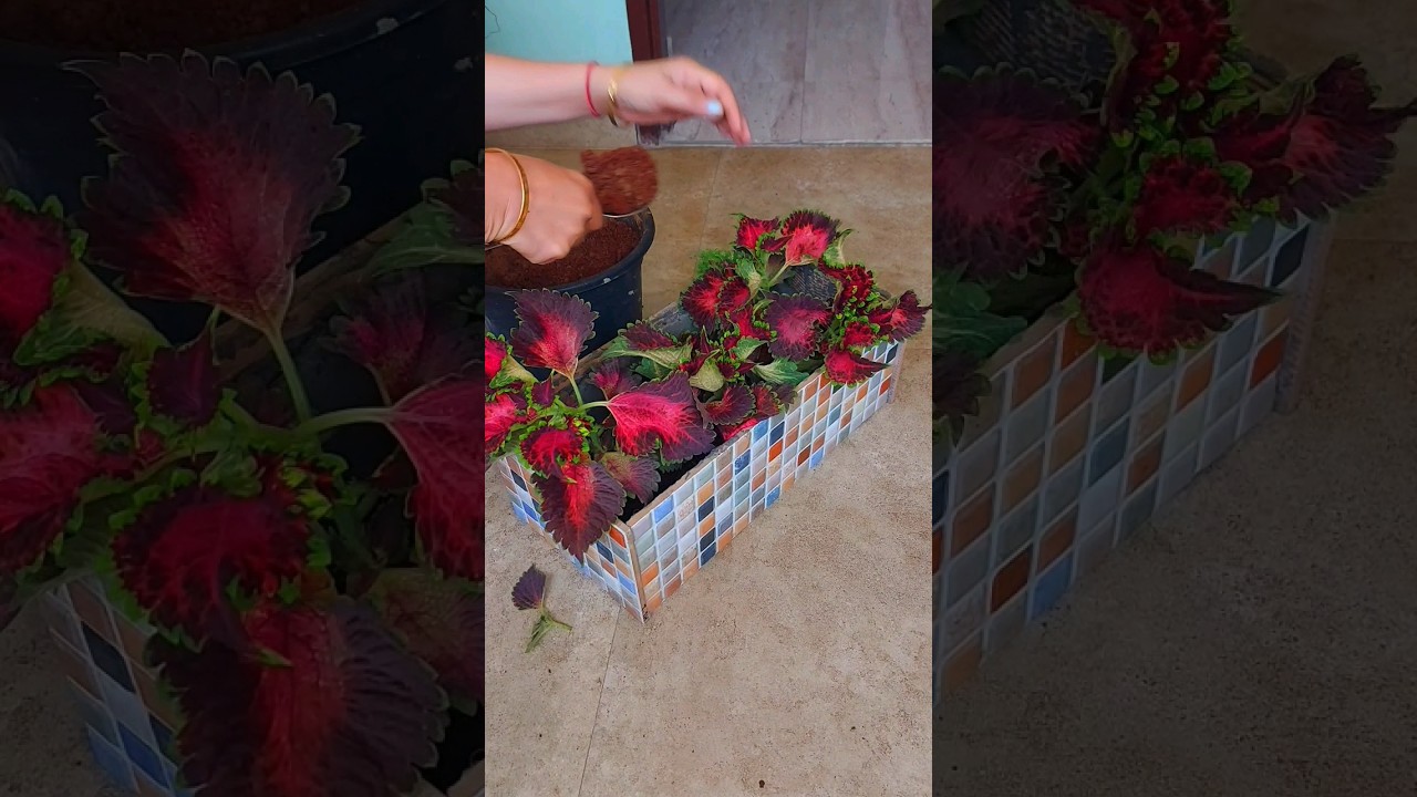 पुरानी टाइल का जबरदस्त Idea | DIY Planter | Old Tile Reuse #Planter #diy #pottery #shorts