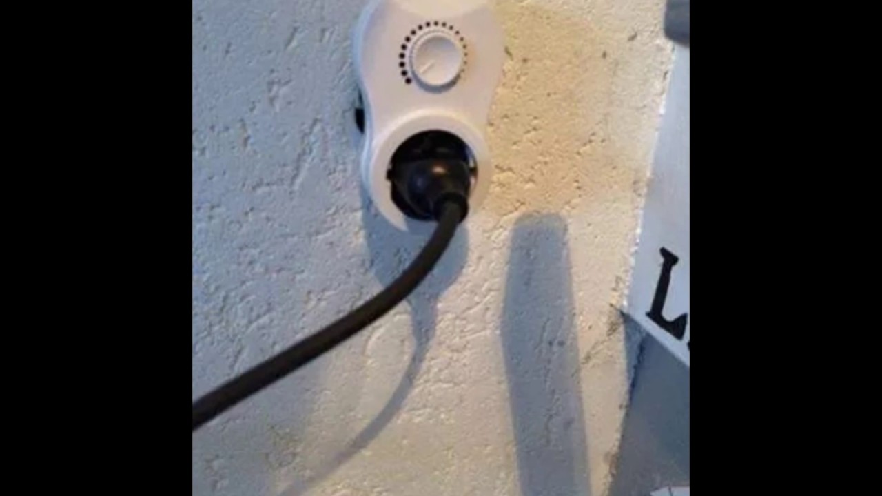 wiet zaad  ontkiemen