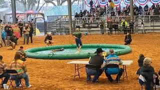 alligator wrestling competition