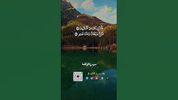 القارئ :أحمد أنور عرفات #قران #تلاوات