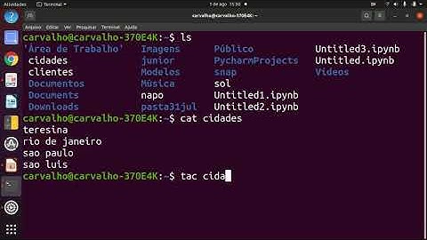 Terminal do Linux | ls, cat, tac e criando arquivo txt direto do terminal