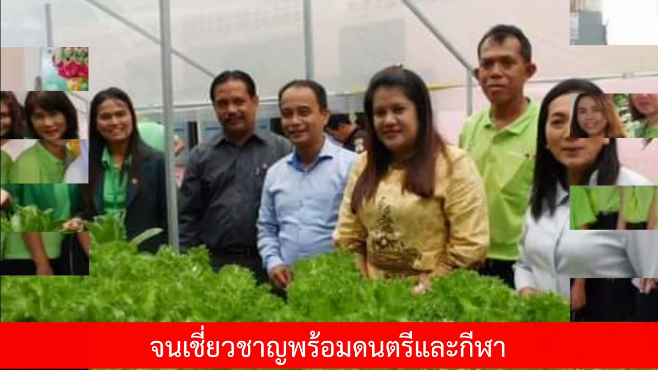 เพลงมาร์ชโรงเรียนบ้านฉลุง สพป.สงขลา เขต 2 (MV)