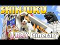Things to do in Shinjuku Tokyo / 1-Day Travel Itinerary for Shinjuku Tokyo / Japan Travel Itinerary