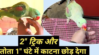 तोते का काटना कैसे छुड़ाएं / parrot bite Kaise chhudayen / parrots training for stop bite