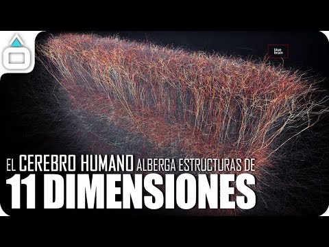 Video: ¿Cómo amenaza a Rusia la ausencia de la institución de la paternidad?